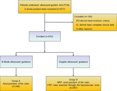 Presence of a Novel Anatomical Structure May Cause Bleeding When Using the Calyx Access in Mini-Percutaneous Nephrolithotomy